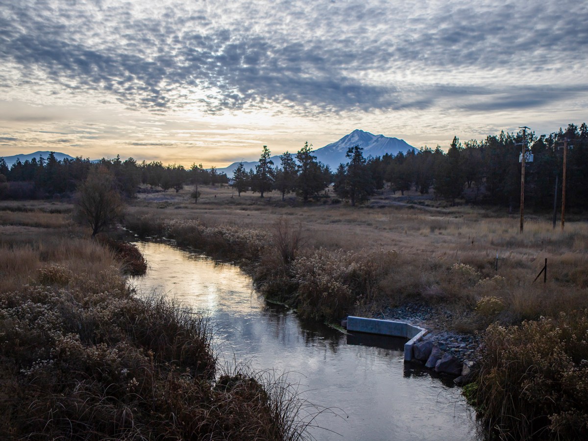‘Things have to change’: State limits water for Klamath Basin farmers to protect salmon