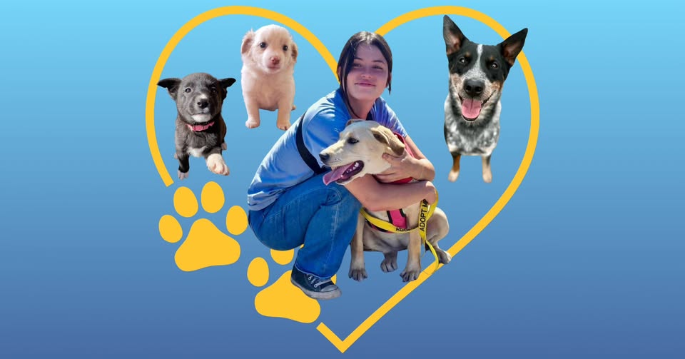 Adoption Day & Puppypalooza
