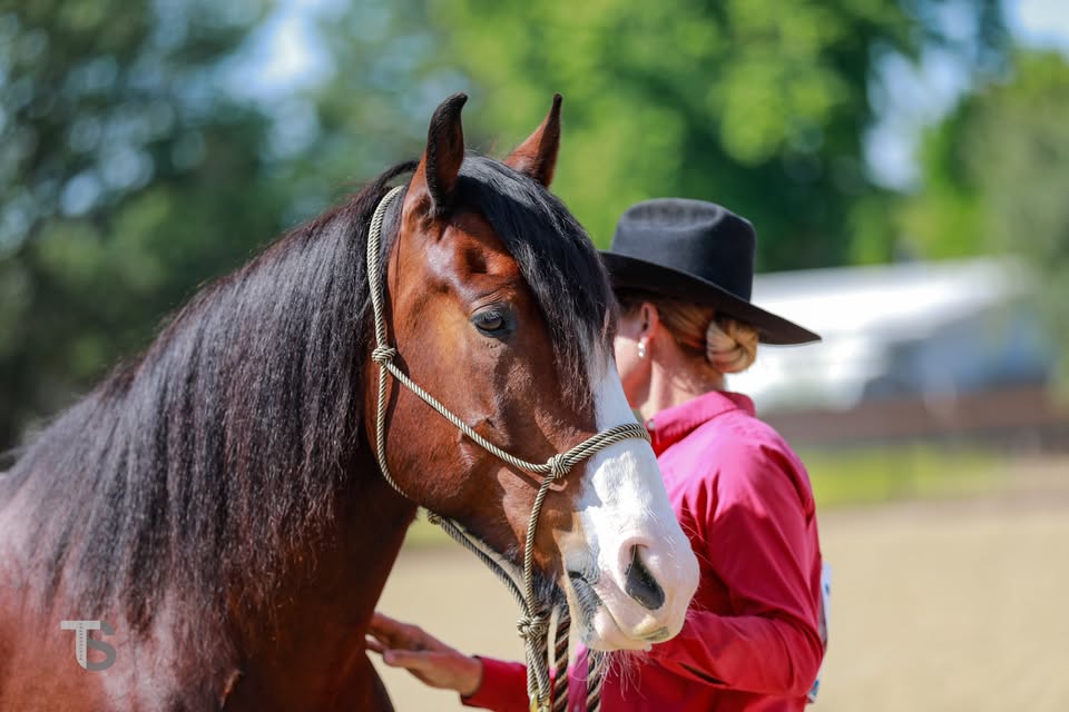 The Ultimate Horse Care & Tack Weekend