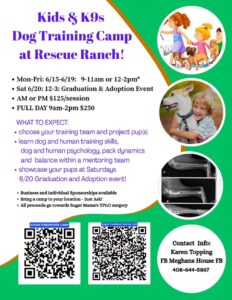 Kids & K9s Dog Training Camp at Rescue Ranch