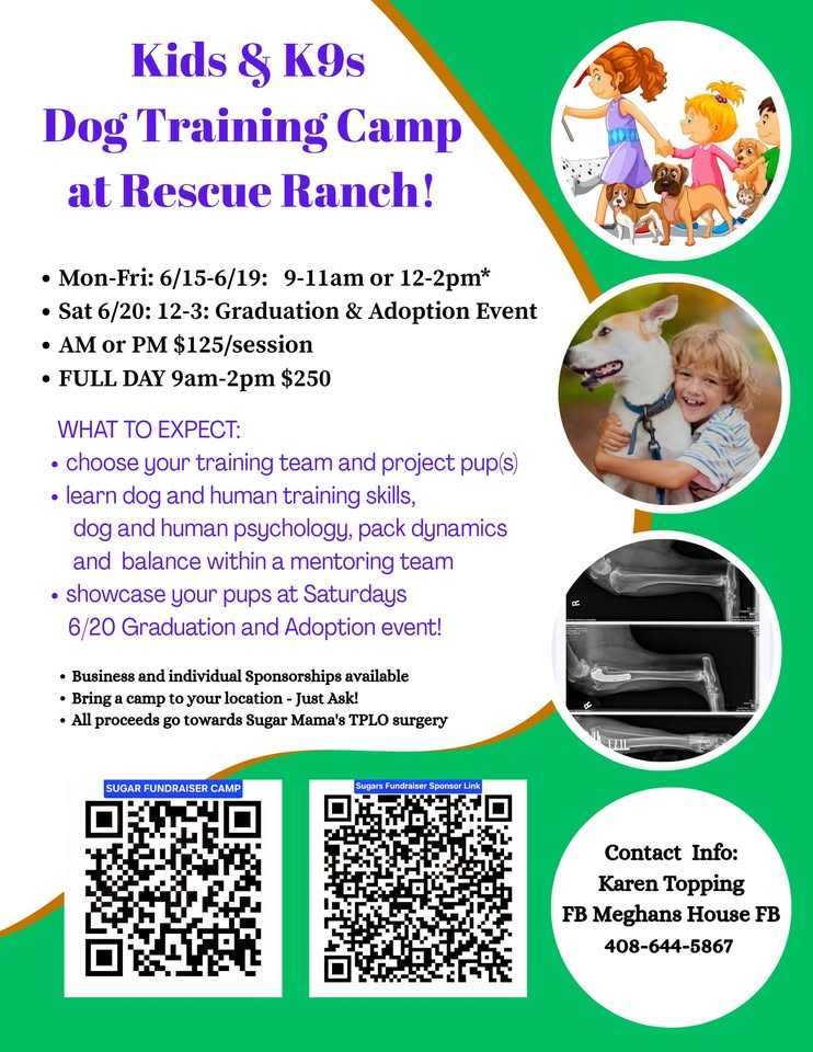 Kids & K9s Dog Training Camp at Rescue Ranch
