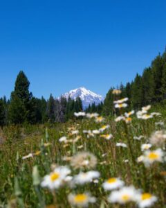 Karuna Reiki Master Training in Mt. Shasta