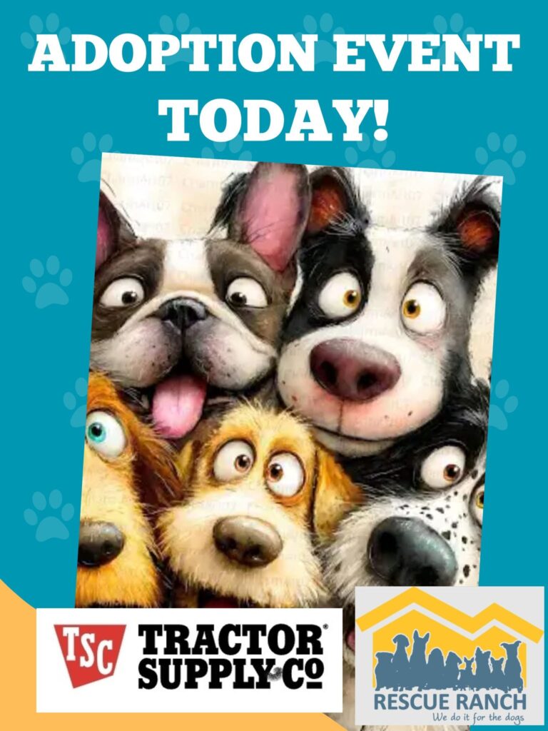5.30.26 ADOPTION EVENT at TRACTOR SUPPLY