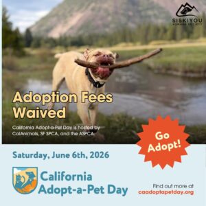 California Adopt-A-Pet Day *FREE ADOPTIONS*