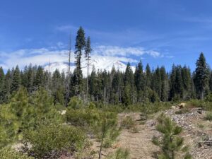 DCNC Mt. Shasta Road Trial