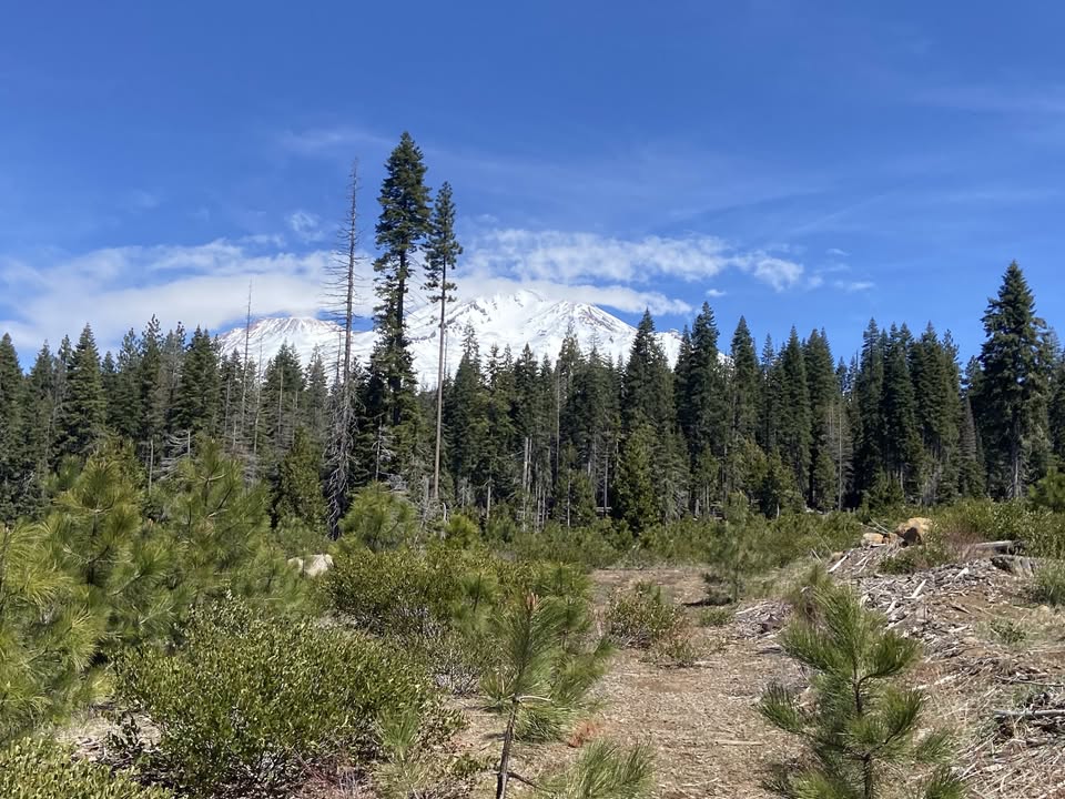 DCNC Mt. Shasta Road Trial