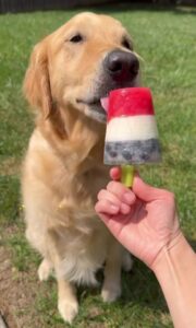 7.4.26 TRACTOR SUPPLY ADOPTION EVENT